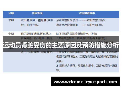运动员肾脏受伤的主要原因及预防措施分析 运动员肾脏受伤的主要原因及预防措施分析