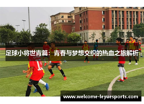 足球小将世青篇：青春与梦想交织的热血之旅解析