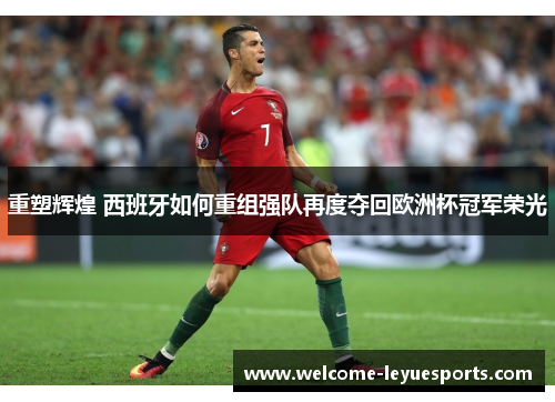 重塑辉煌 西班牙如何重组强队再度夺回欧洲杯冠军荣光