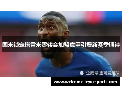 国米锁定塔雷米零转会加盟意甲引爆新赛季期待 国米锁定塔雷米零转会加盟意甲引爆新赛季期待