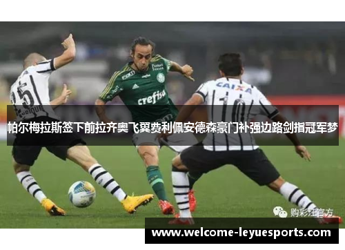 /uploads/images/20260506/pa-er-mei-la-si-qian-xia-qian-la-qi-ao-fei-yi-fei-li-pei-an-de-sen-hao-men-bu-qiang-bian-lu-jian-zhi-guan-jun-meng.webp