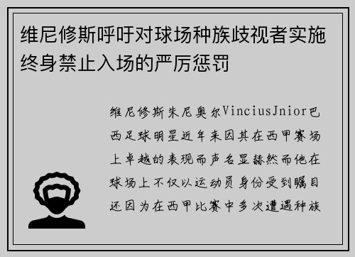 维尼修斯呼吁对球场种族歧视者实施终身禁止入场的严厉惩罚